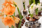 St�mningsfull jul med blommor